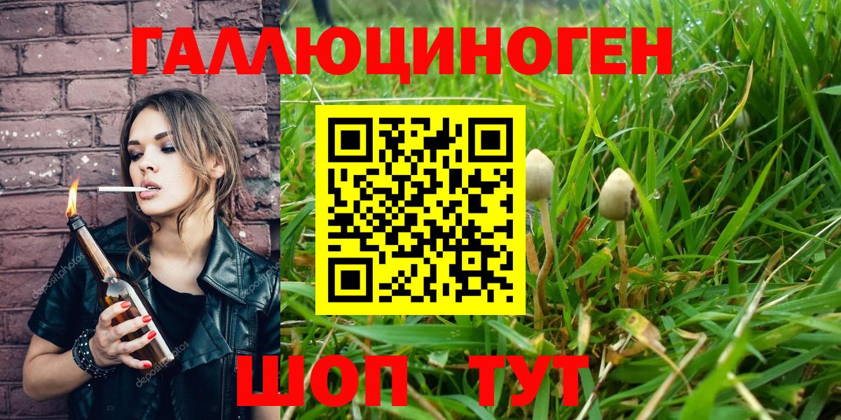 Псилоцибиновые грибы мицелий Кольчугино